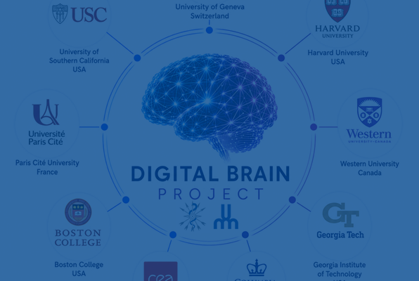 News – The Digital Brain Project