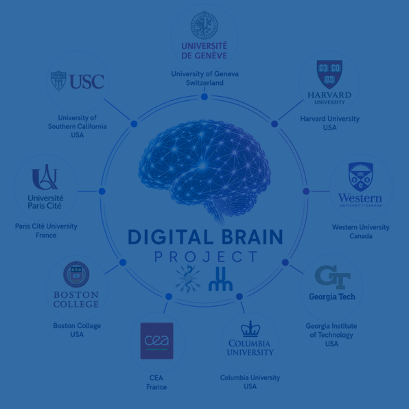 News – The Digital Brain Project