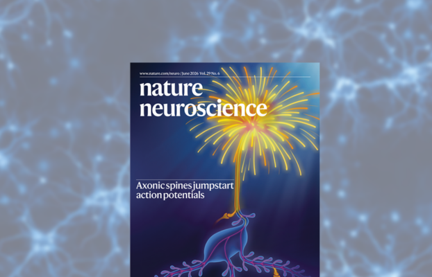 New publication in Nature Neuroscience