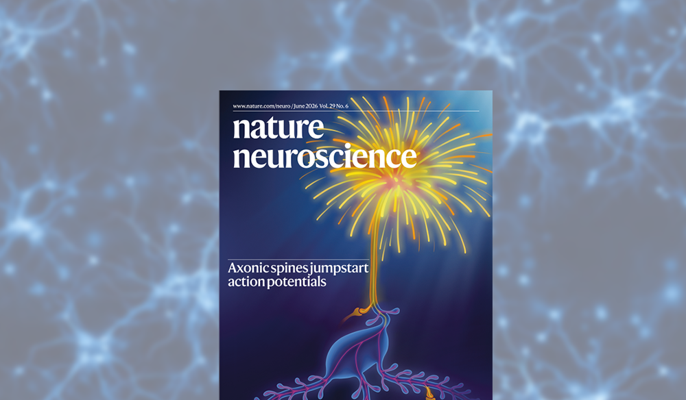 New publication in Nature Neuroscience